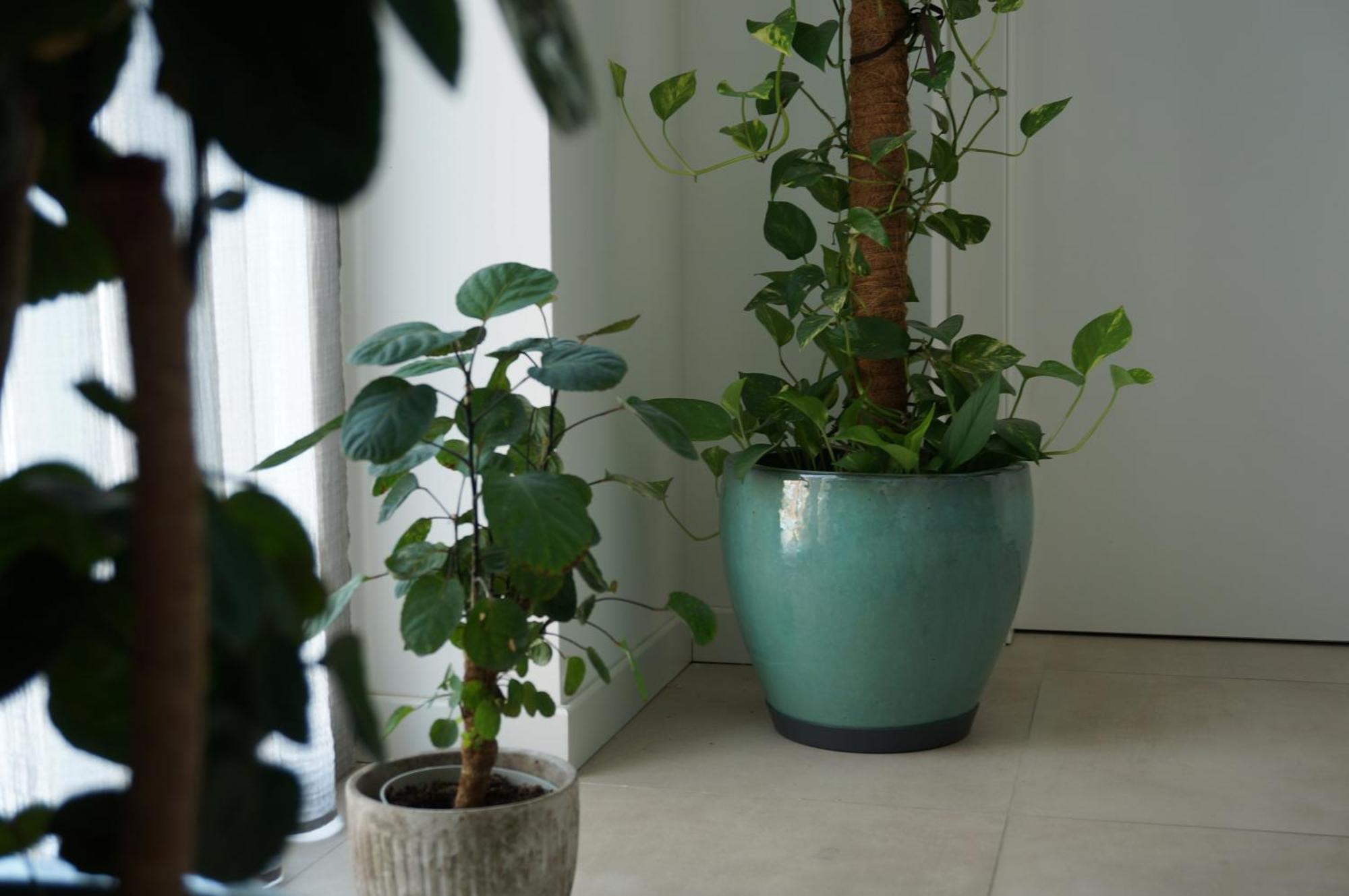 Green Stay Bergamo Esterno foto
