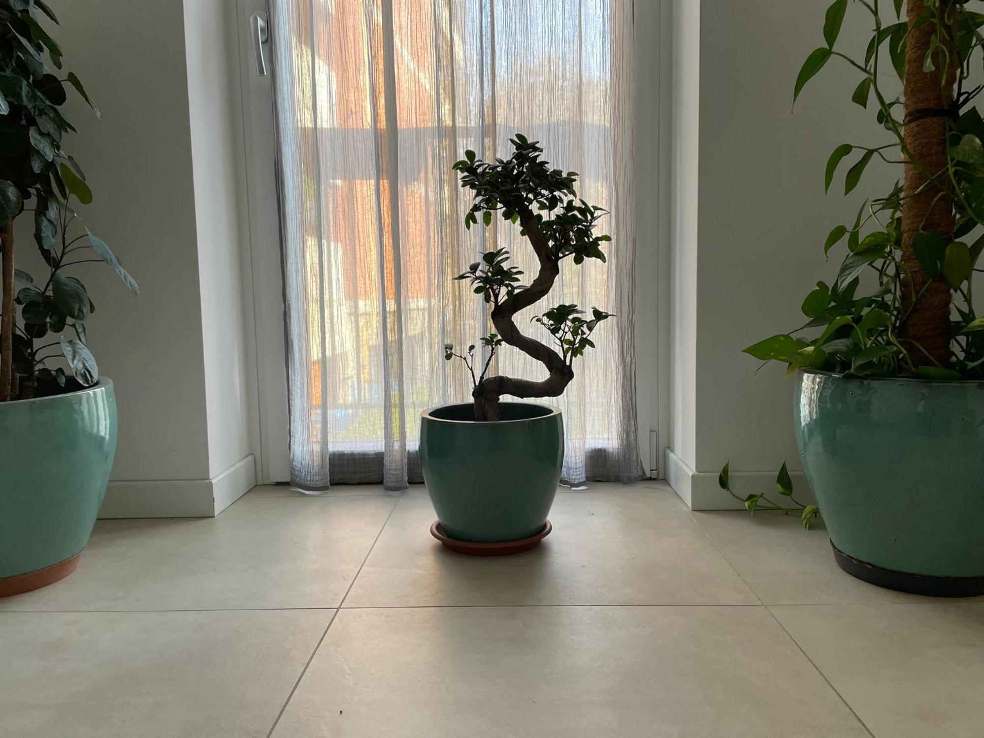 Green Stay Bergamo Esterno foto